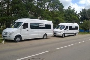 Перевозка детей автобусом или микроавтобусом в Краснодаре